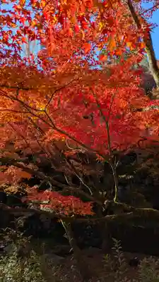 東福禅寺(東福寺)(京都府)