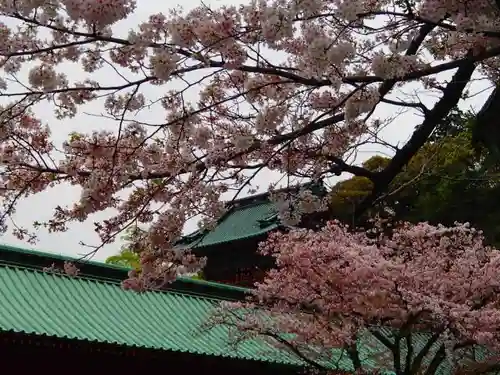 静岡浅間神社の本殿