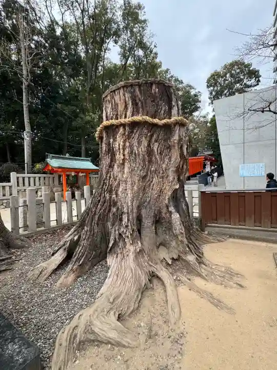 生田神社の{uncategorized: "未分類", other: "その他", undefined: "問題あり", building: "その他建物", grave: "お墓", sacred_gate: "鳥居", guardian: "狛犬", statue: "像", buddha: "仏像", history: "歴史", nature: "自然", garden: "庭園", animal: "動物", pagoda: "塔", temizu: "手水舎", mountain_gate: "山門・神門", sanctuary: "本殿・本堂", subordinate: "末社・摂社", art: "芸術", scenery: "景色", jizo: "地蔵", ema: "絵馬", goshuin: "御朱印", omikuji: "おみくじ", items: "授与品その他", amulet: "お守り", goshuincho: "御朱印帳", eats: "食事", festival: "お祭り", votive_dance: "神楽", shichigosan: "七五三参", wedding: "結婚式", experience: "体験その他", initially: "初詣", around: "周辺", anti_infection: "感染症対策"}