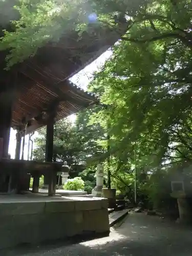 舎那院のその他建物