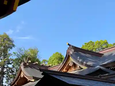 亀ケ池八幡宮のその他建物