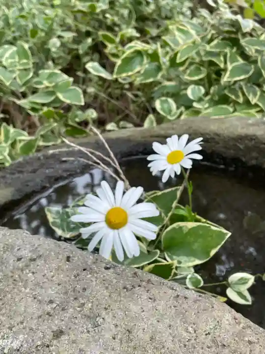 岡部春日神社~👹鬼門よけの🌺花咲く🌺やしろ~(福島県)