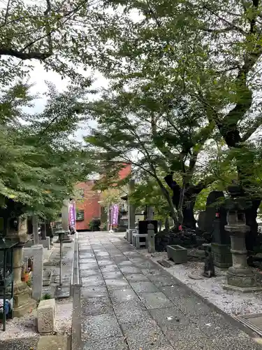 澤蔵司稲荷（慈眼院）(東京都)