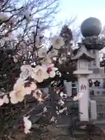 大生郷天満宮の自然