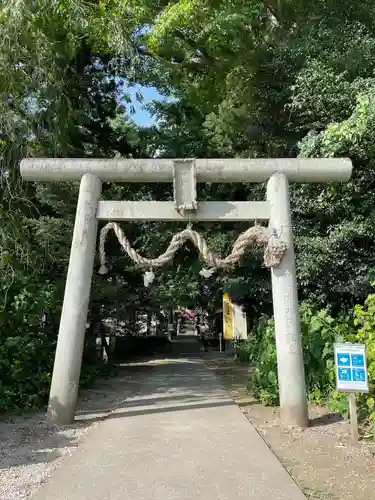 下野 星宮神社の鳥居