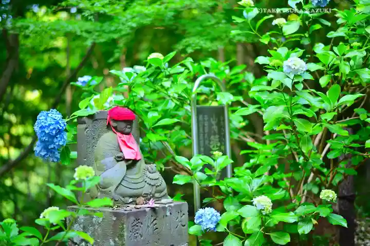 高幡不動尊 金剛寺(東京都)