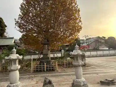 瀧泉寺（目黒不動尊）(東京都)