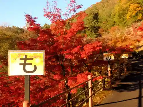 足利織姫神社の自然