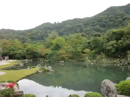 天龍寺の庭園