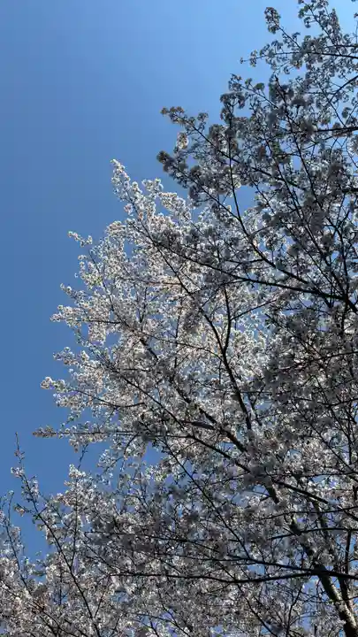 吉備津岡辛木神社(岡山県)