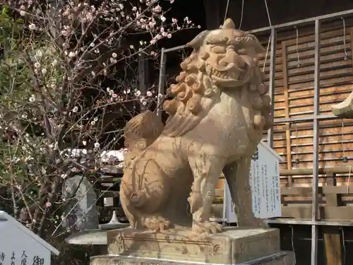 柿本神社の狛犬