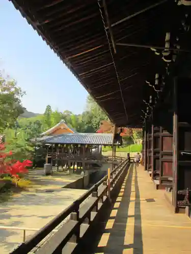 光明寺（粟生光明寺）の本殿・本堂