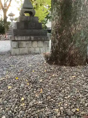 溝旗神社（肇國神社）の動物