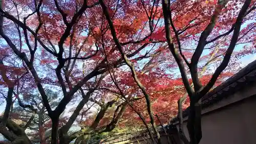養徳院(京都府)