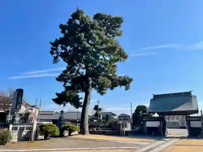光明寺(埼玉県)