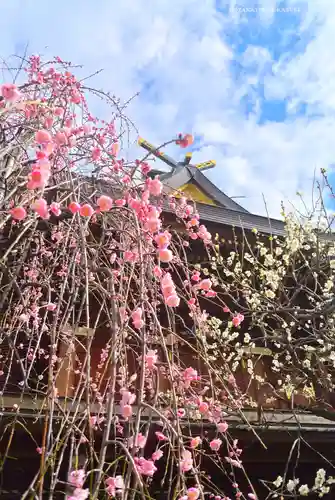 湯島天満宮(東京都)