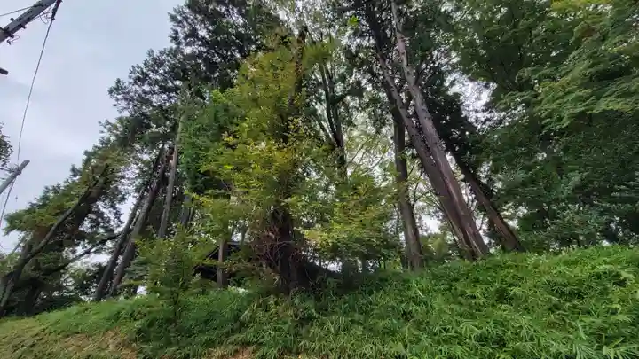 若宮神社の自然