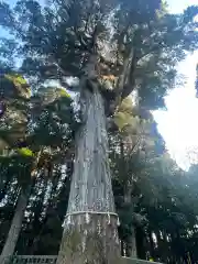 霧島神宮(鹿児島県)