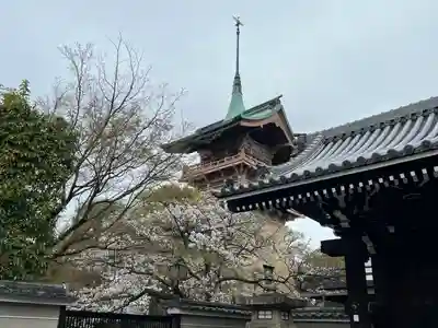 大雲院(京都府)