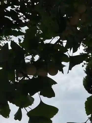 善勝寺(愛知県)