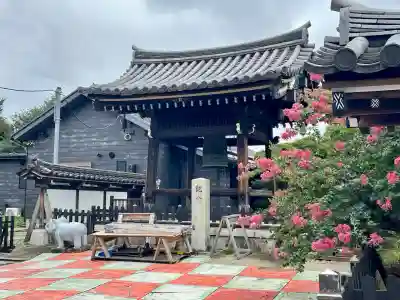 西音寺(東京都)