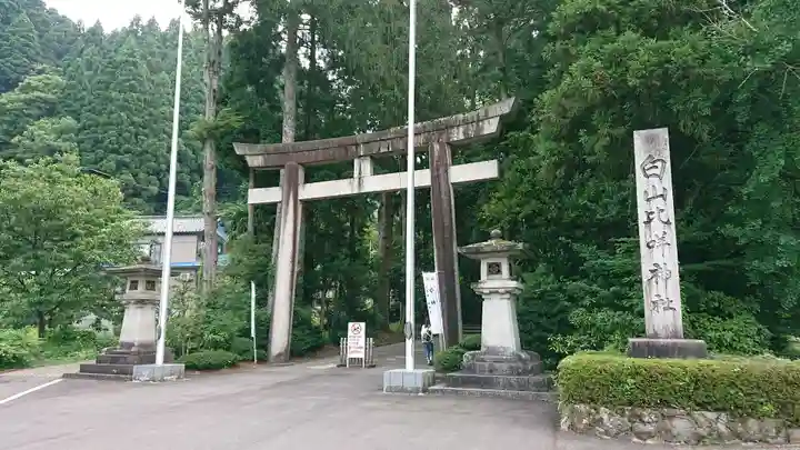 白山比咩神社の鳥居