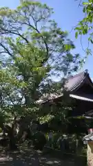 橘寺(奈良県)