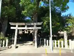 市寸島社（辨財天神社）の鳥居