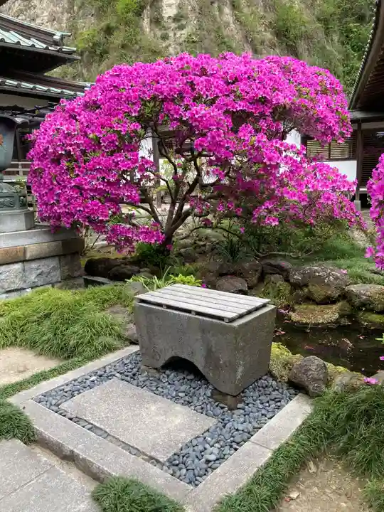 安養院 (田代寺)(神奈川県)