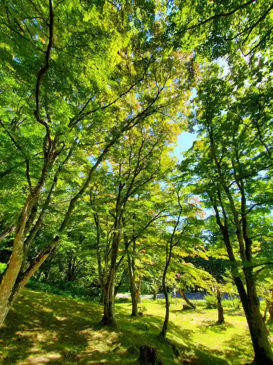 土津神社|こどもと出世の神さまの景色