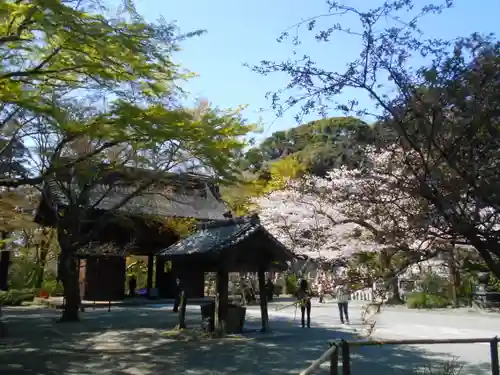 妙本寺の景色