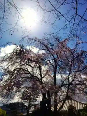 最勝寺(東京都)