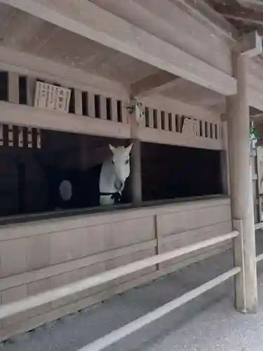 伊勢神宮外宮（豊受大神宮）(三重県)