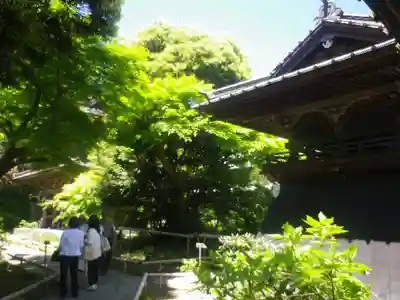 英勝寺の本殿・本堂