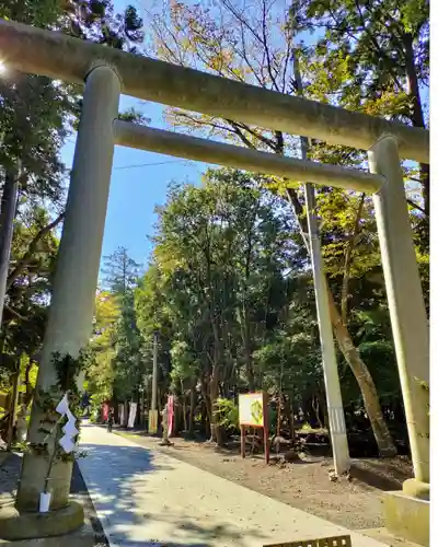 諏訪八幡神社の鳥居