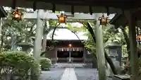 大井神社の鳥居