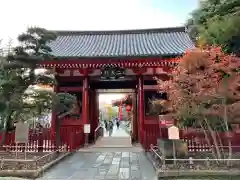 浅草寺の山門