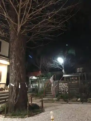 烏森稲荷神社の自然