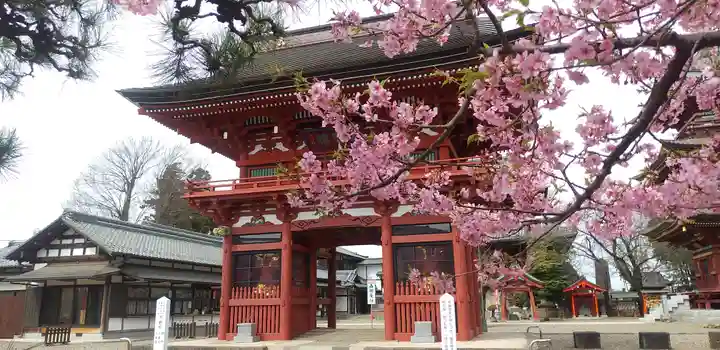 不動院(板橋不動尊)の山門・神門