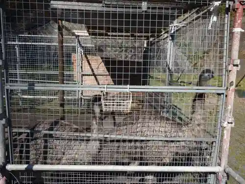 総本山　本福寺の動物