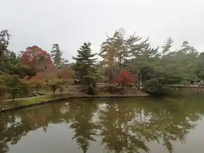 厳島神社（東大寺境内社）の庭園