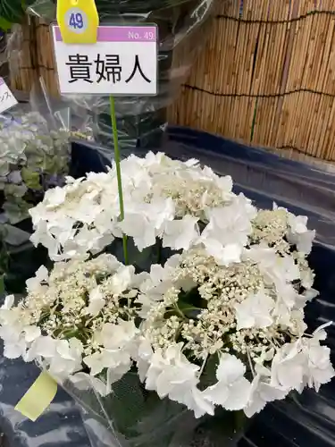 長國寺(東京都)