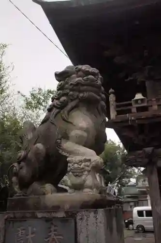 穴切大神社の狛犬