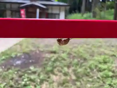 大宮温泉神社(栃木県)