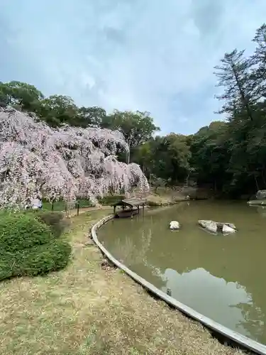 曹源寺(岡山県)