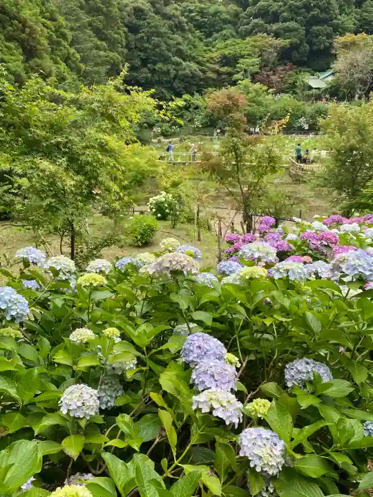本土寺(千葉県)