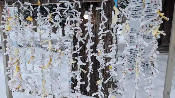 旭川神社のおみくじ