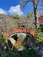 賀茂御祖神社(下鴨神社)(京都府)
