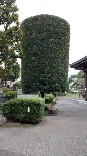 明言寺（石打こぶ観音）の庭園