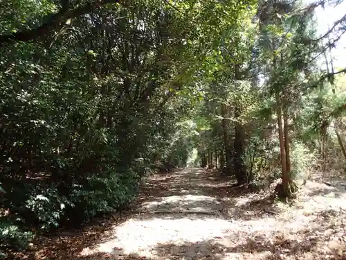 大元神社（宇佐神宮奥宮）の自然